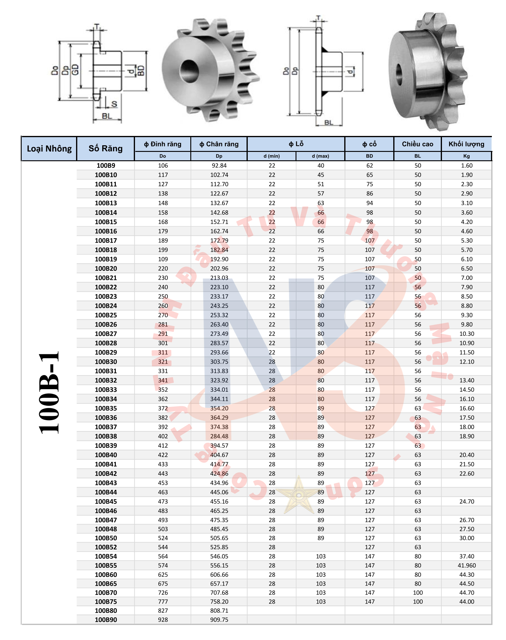 100B 1 - Nhông 100B